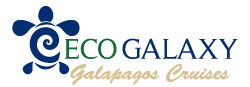Ecogalaxy Catamaran Logo - Galagents Cruises