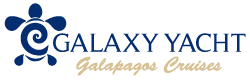 Galaxy Yacht Logo - Galagents Cruises