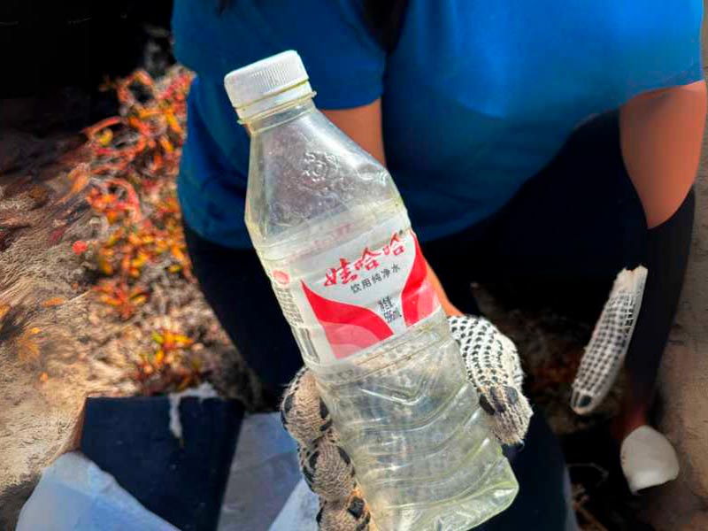 Galaxy Expedition collaborating with environmental organizations for conservation in the Galápagos Islands.