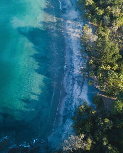 Aerial photo of Caño Island, with crystal-clear waters and tropical forest lining the beach.