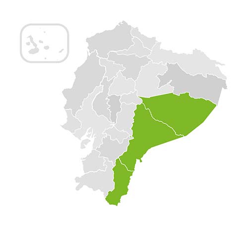 communities-and-ethnicities.alt_imgmapa-amazon-2 communities-and-ethnicities.alt_imgmapa-amazon-2