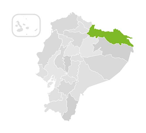 communities-and-ethnicities.alt_imgmapa-amazon-1 communities-and-ethnicities.alt_imgmapa-amazon-1