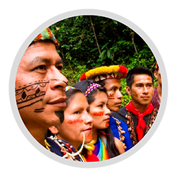 Communities & Ethnicities image - Galagents