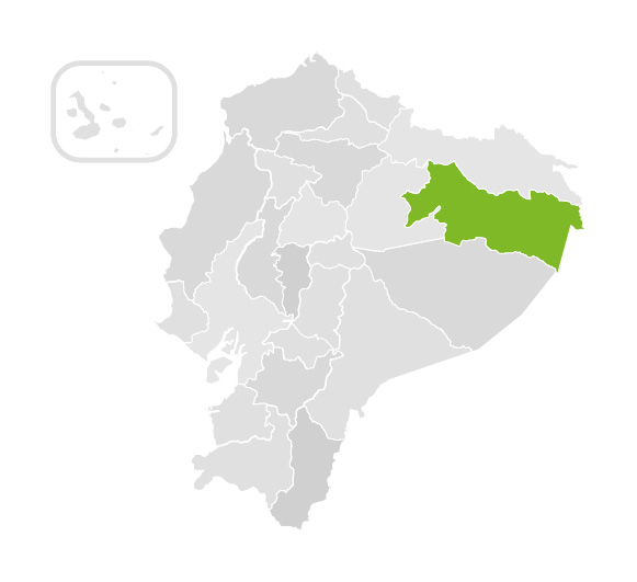 Napo map - Ecuador Napo map - Ecuador