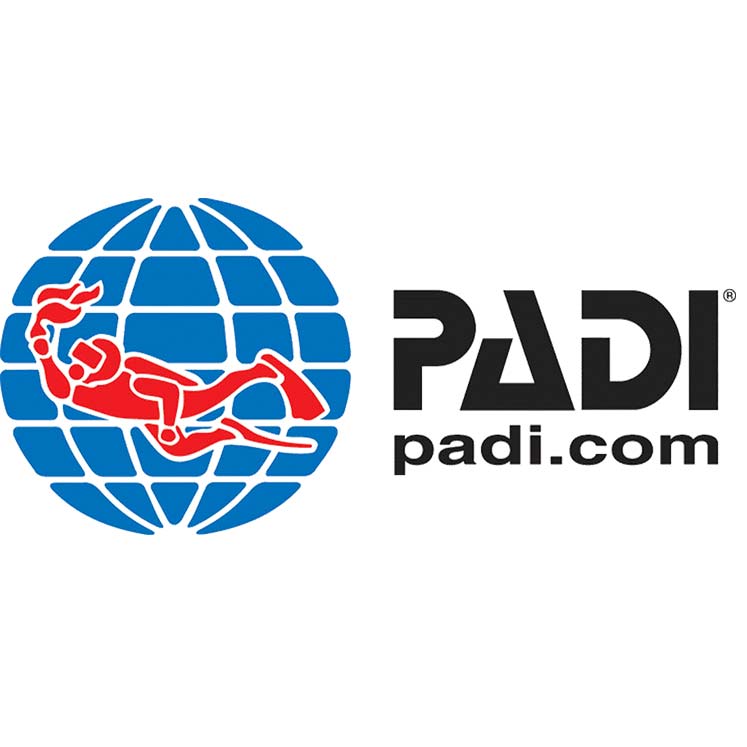 home.alt-img-padi