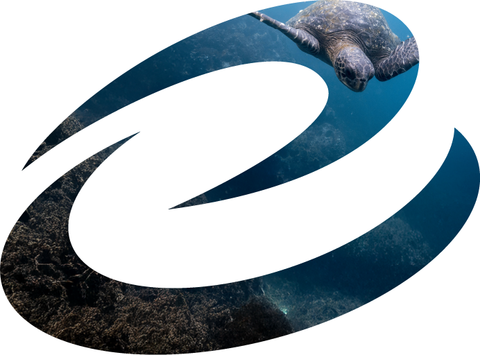 Logo Galaxy Expeditions Galapagos