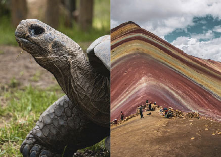 Destination Galapagos and Peru